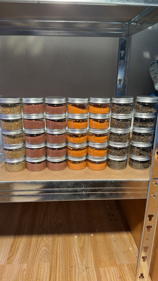 Betta 4 Pack